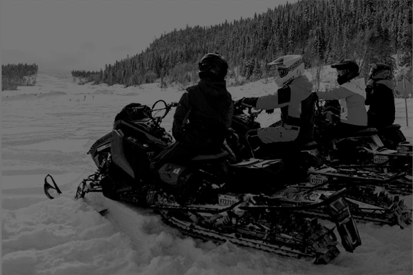 Chalets en bois rond