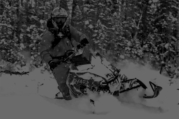 Chalets en bois rond