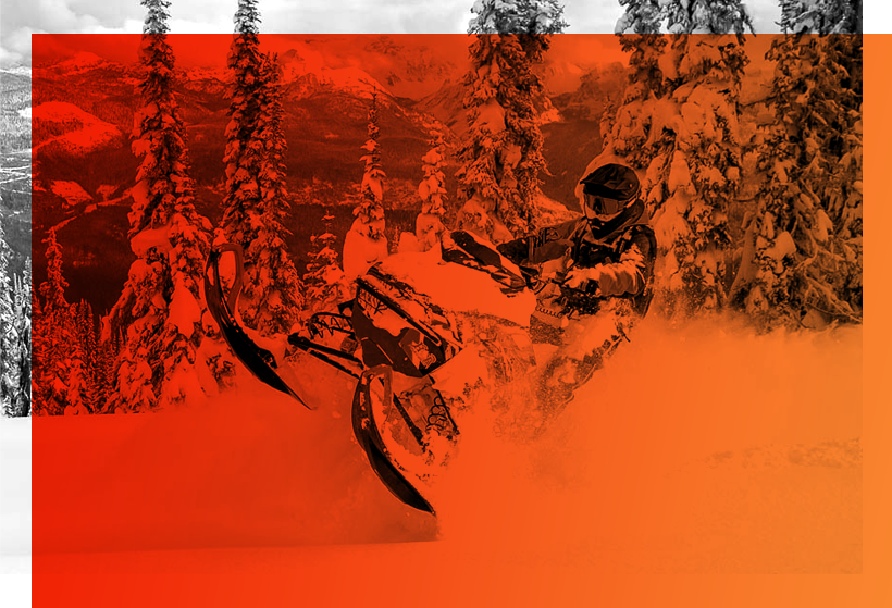 Chalets en bois rond