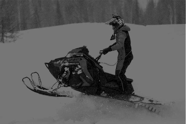 Chalets en bois rond